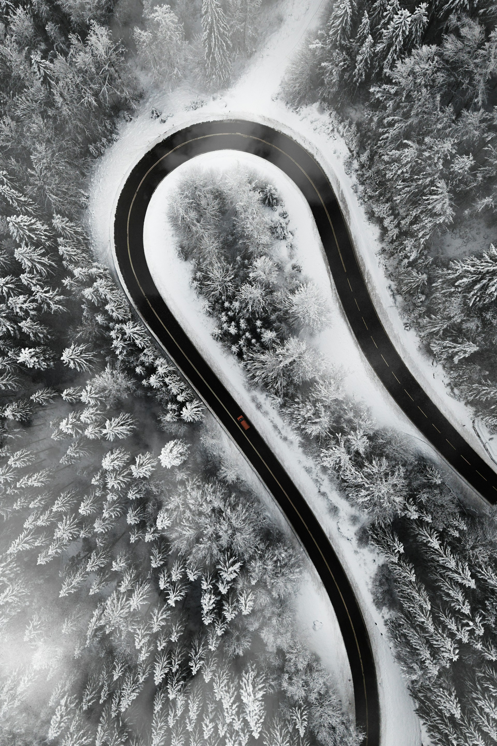 Una strada in unbosco innevato